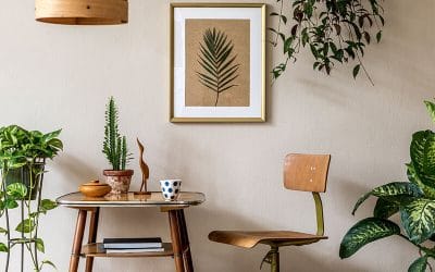 How to choose the best plants for interior design